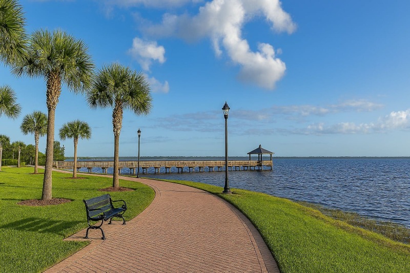 a path with grass and trees by a body of water