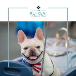🇺🇸 Let’s make this a paw-some week at The Retreat at Sunset Walk! 🐾 
With a pet spa and green spaces, your furry friends will love it here. Don’t miss the pet-friendly 4th of July fun at @promenadeatsunsetwalk! Learn more on our website! Instagram post from @the_retreat_at_sunset_walk on July 01, 2024 08:33:37am